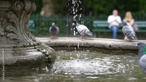 Ornate stone fountain with birds drinking