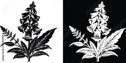 Elegant digitalis flower artwork perfect for cards, invites, and botanical themed projects with crisp white silhouette on black background