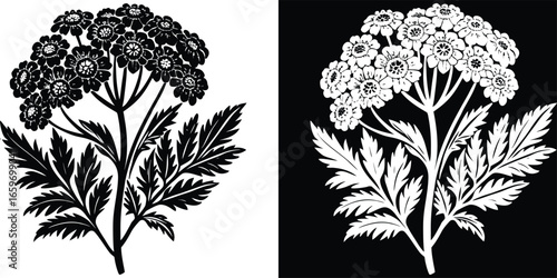Timeless botanical illustration of flowering plant for elegant branding projects and creative designs in black and white, with a modern touch