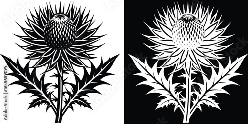 Striking thistle flower design in black and white for elegant botanical illustrations, tattoos, and nature-inspired branding projects