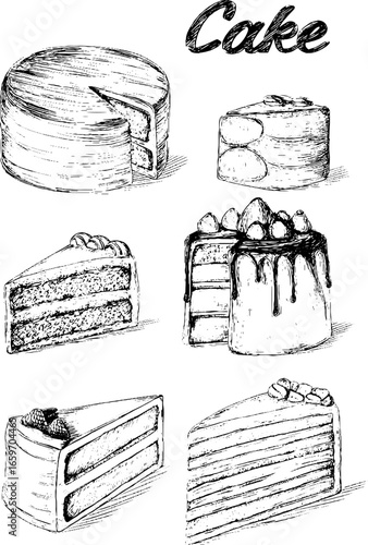 Illustrated variety of cakes: artistic sketches of delicious dessert slices and whole cakes