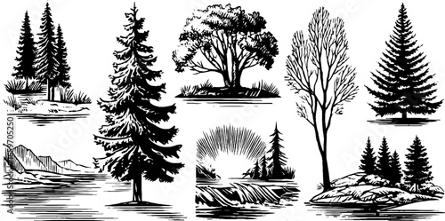 Collection of hand-drawn tree illustrations in black and white