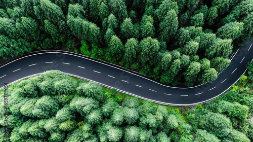 A winding road cutting through an endless green forest, seen from above, symmetry and scale, peaceful journey through natur 