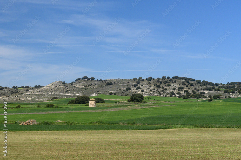 Obraz premium Traditional dovecote in the countryside of Palencia, Spain