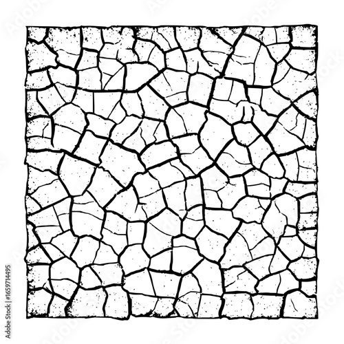 Is this the end of the world as we know it explore the intricate patterns of cracked earth and what it means