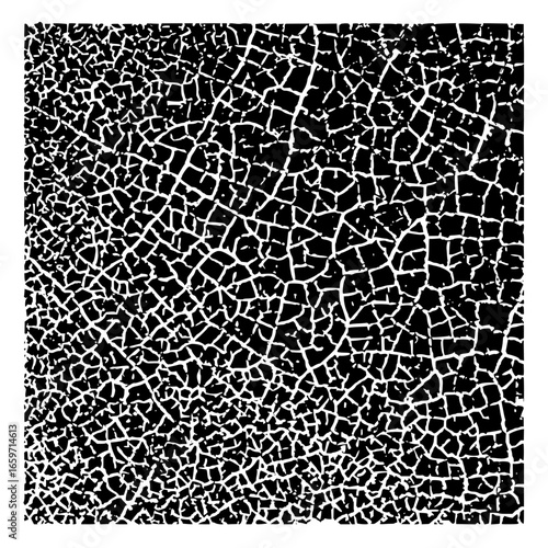 Unbelievable details revealed in this mesmerizing pattern you won't believe is so intricately designed