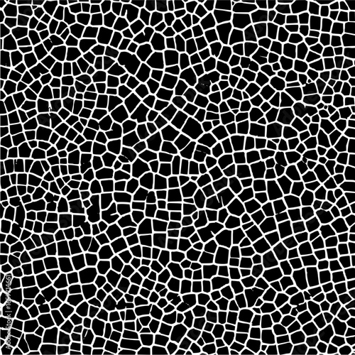 You won't believe what this black and white pattern reveals about the secret world of textures and design