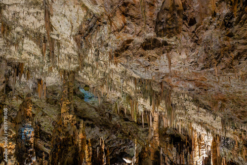 Canvas Print Postojna cave ceiling with stalactites