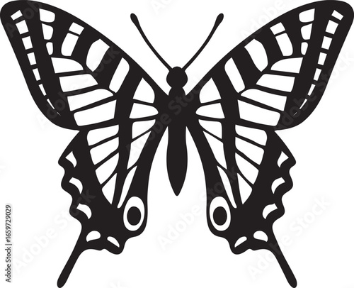 Stylized butterfly graphic black and white insect, Black and white lepidoptera butterfly design