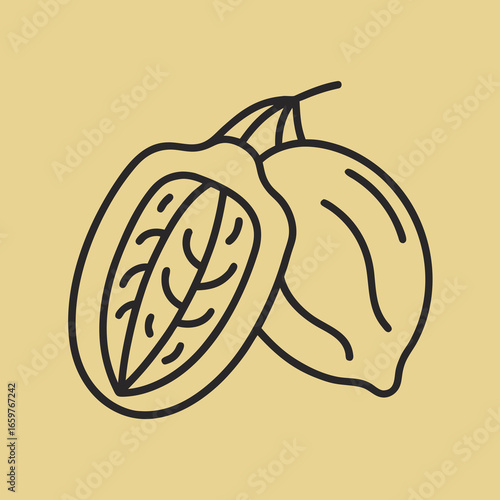 Illustration of a fresh apricot fruit with leaf and stem in outline style
