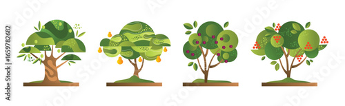Green Fruit Tree Flat with Trunk and Ripe Crop Vector Set