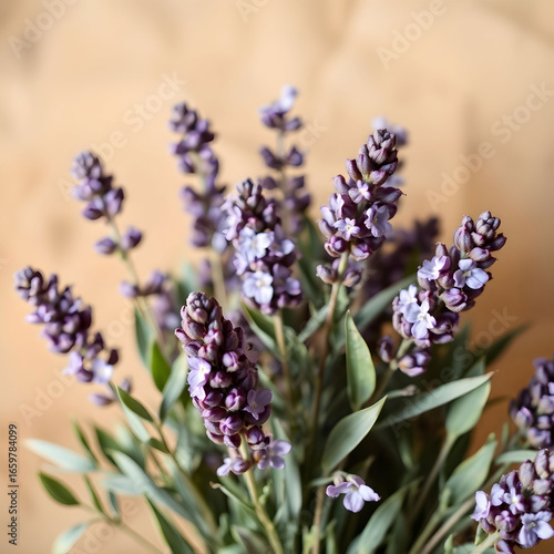 flowers with delicate vibrant purple blob