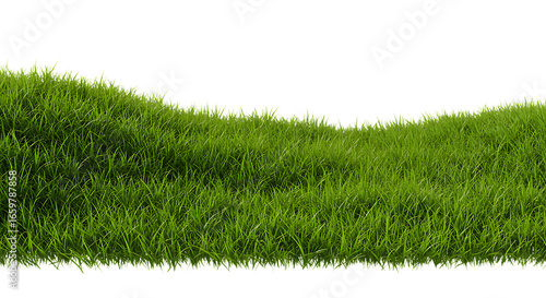 Green grass isolated on a white background