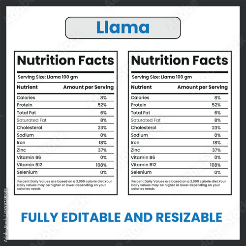 Llama Animal Line Drawing