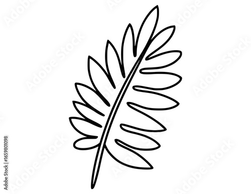 Black and white line drawing of a fern frond leaf plant