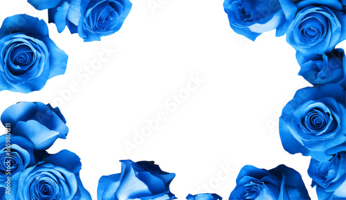 Blank Card Surrounded by Blue Roses