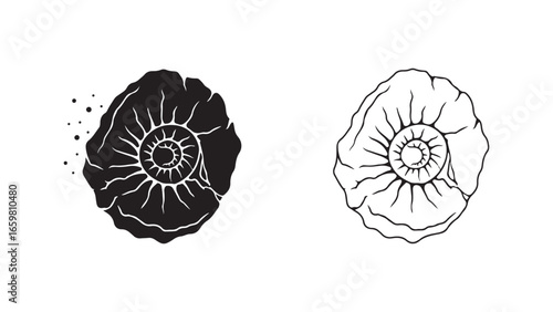Ammonite fossil outline and solid black shapes