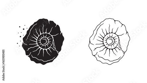 Ammonite fossil outline and solid black shapes