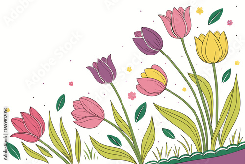 vector illustration of tulips