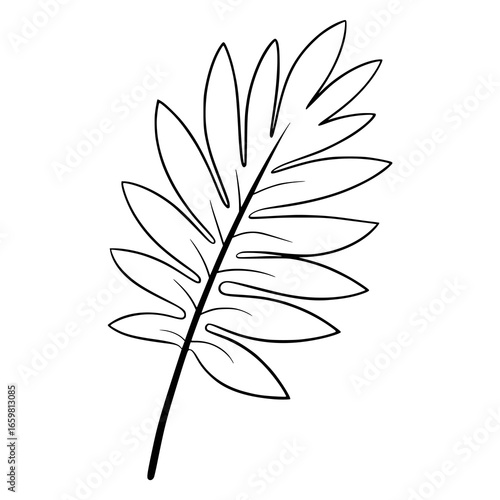 Delicate black and white line drawing of a fern frond leaf plant