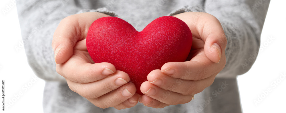 Fototapeta premium Person Holding Red Heart in Hands for Love and Care Concept