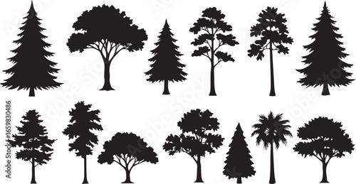 Assortment Of Black Tree Silhouettes Featuring Conifers Deciduous And Palm Trees nature forest