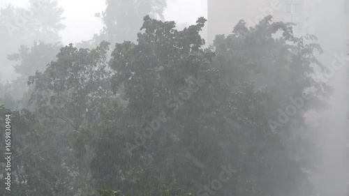 Bad weather, storm. Heavy rain and wind in city. Wind shakes trees