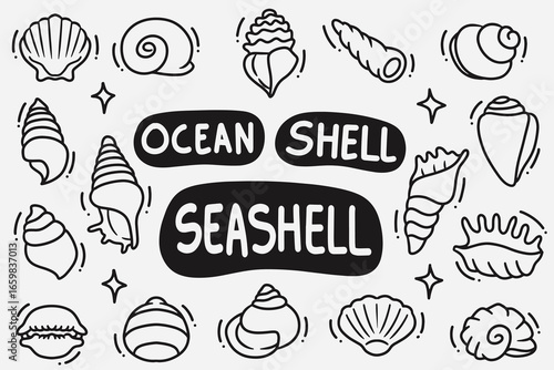 set of seashell doodle good for background, wallpaper, element design, icon, etc