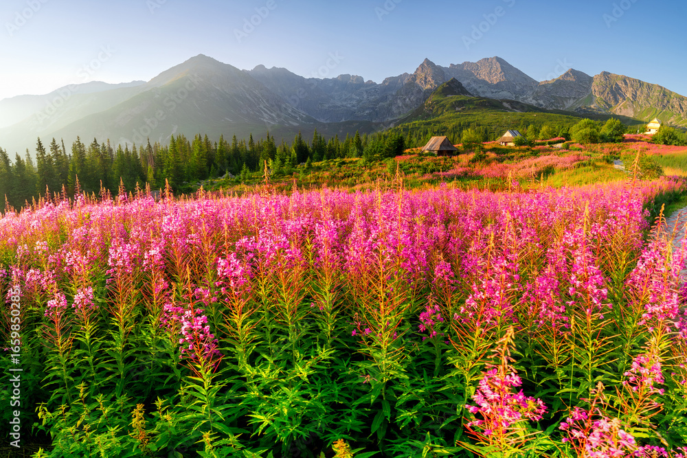 Obraz premium Panorama of the most beautiful Tatra Gąsienicowa Valley at sunrise, Poland.