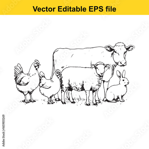 Farm animals including cow, chicken, sheep, and rabbit isolated on white background