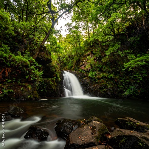Lush waterfall cascading into a tranquil pool, framed by verdant forest