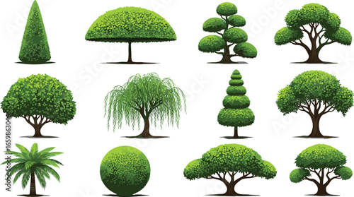 Collection of decorative tree vector illustrations, topiary, stylized landscaping trees and bushes for garden design, park scenes, or landscape architecture visuals