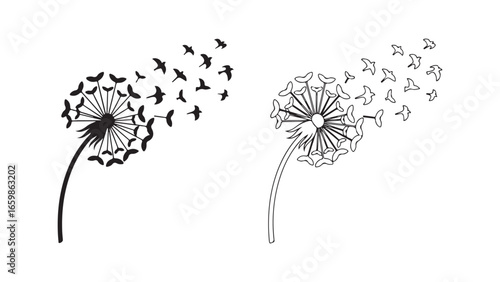 Dandelion seeds blowing in the wind with transparent background