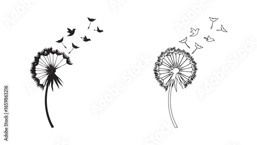 Dandelion seeds and birds flying with transparent background
