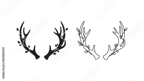Deer antlers pair with transparent background