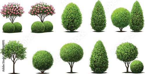 Realistic garden shrubs and flowering bushes collection, green topiary trees and hedges, landscape plant vector set for backyard, park, or outdoor design