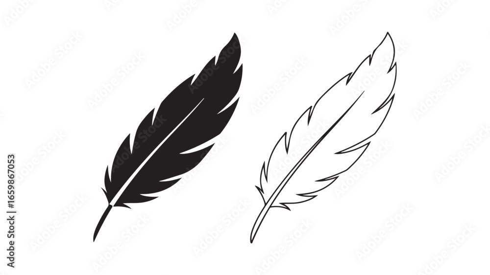 Obraz premium Feather outline and solid shape with transparent background