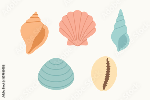 Pastel seashell collection conch scallop spiral and cowrie on cream