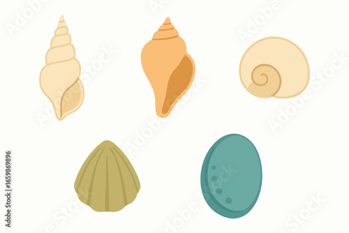 Seashell icons slim spiral conch egg shell and nautilus swirl