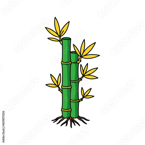 Green lucky bamboo plants with golden leaves a symbol of growth and prosperity used to create a calm natural atmosphere for zen decor.