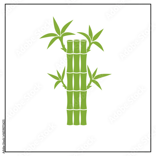 Lucky bamboo stalks with lush green leaves evoking growth and prosperity perfect for illustrating themes of nature wellness and traditional medicine.