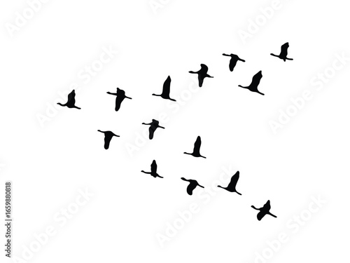 Flying Birds Vector Set. Black Silhouette Bird Flock Icons