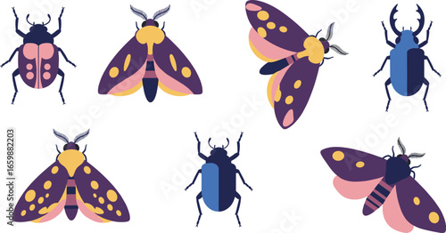Colorful insect vector set, beetles and moths illustration, flat bug icons collection for design, cartoon entomology clipart, isolated animal graphics