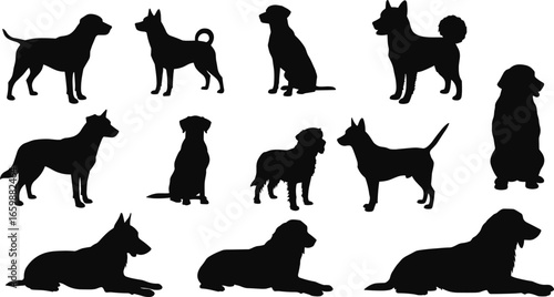 Dog breed silhouette collection, various dog poses, sitting, standing, lying down, black vector set for pet illustration, design, and animal graphics