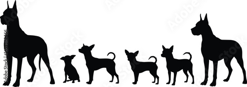 Dog silhouette illustration of Great Danes and Chihuahuas, large and small breeds standing together, isolated black vector on white background for pet designs