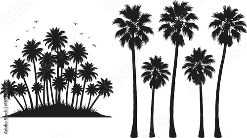 Palm tree silhouette collection, tropical black tree vector, summer beach landscape, exotic forest illustration, coconut palm clipart, isolated nature element