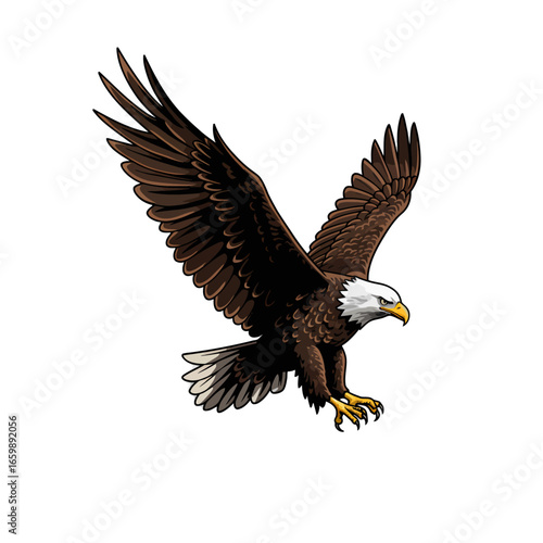Detailed illustration of a bald eagle in flight, showcasing its powerful wings and sharp talons.