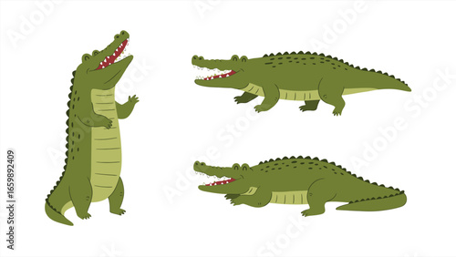 Wild Green Alligators Cartoon Crocodile Characters in Various Poses Illustration