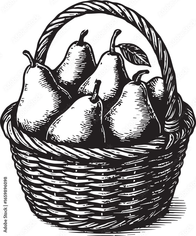 Fototapeta premium Pears in a basket vector illustration