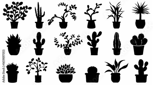 Silhouette collection of various potted houseplants including cacti succulents and leafy plants in pots decor
